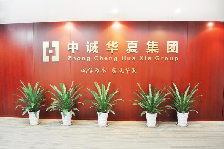中誠華夏信息咨詢集團